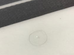 �G�|�L�V EPS LOST MAYHEM �s���z�[�� 59_3